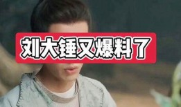 刘大锤爆料预言真相视频,预言真相视频背后的惊人内幕